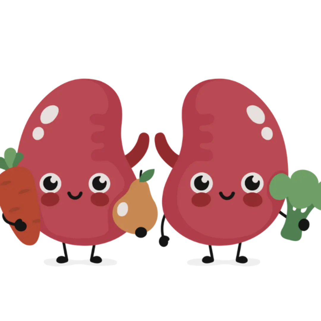 kidney