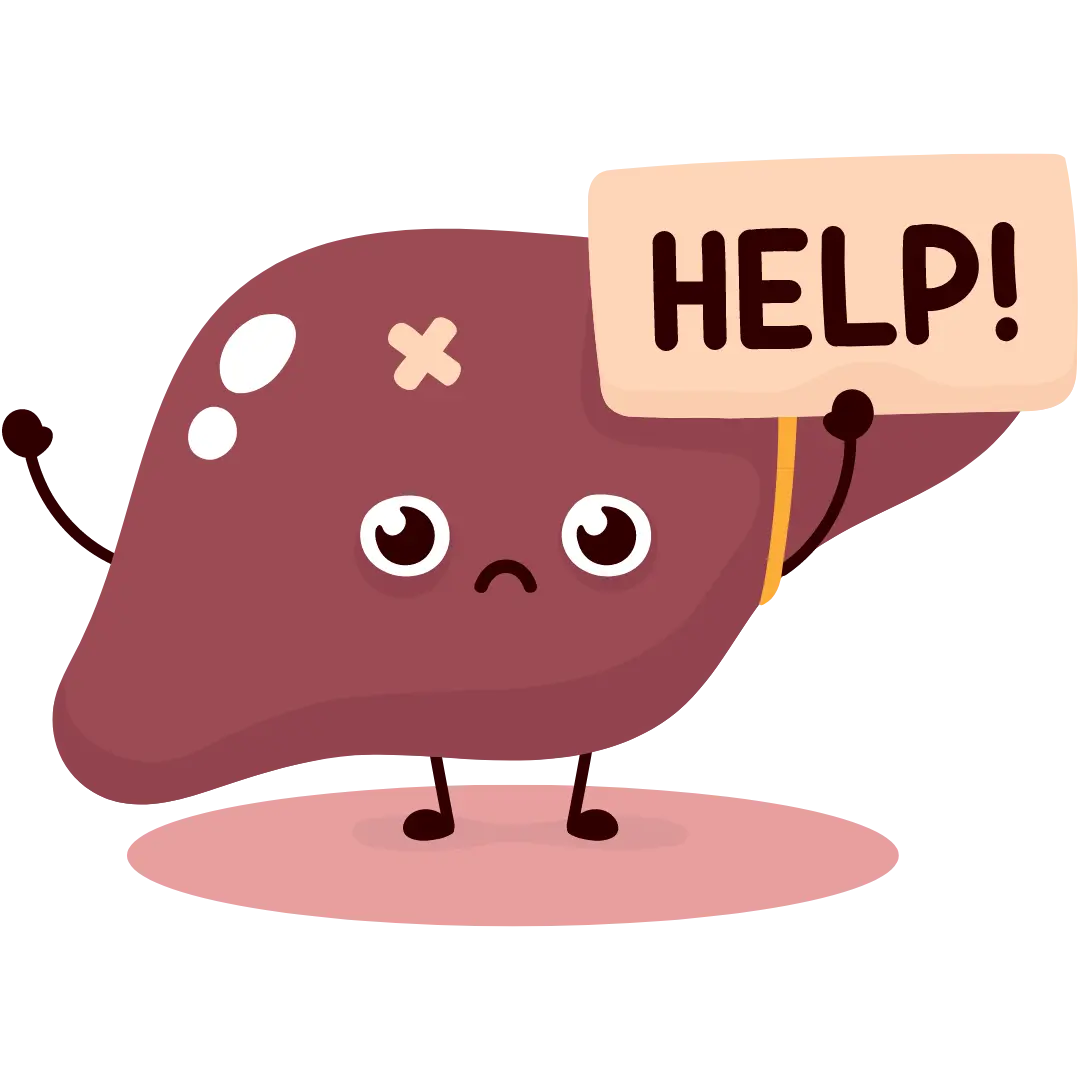 liver
